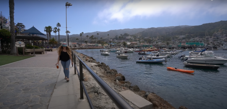 Fun And Adventurous Things To Do In Santa Catalina Island