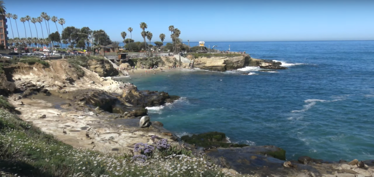 La jolla cove